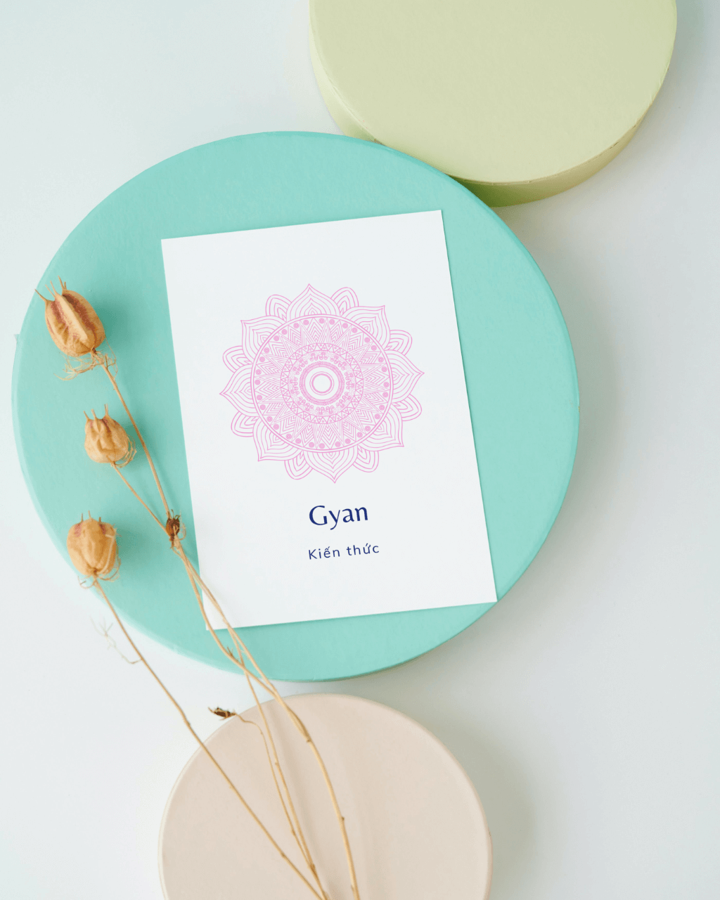 Soulutions - Gyan - Kiến thức